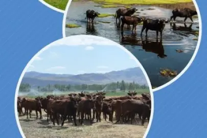 Halk elinde ıslaha 2,7 milyar TL destek