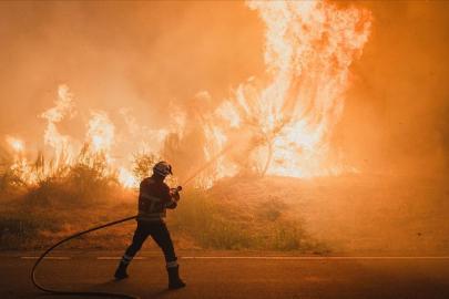 İspanya'da bu yıl 350 bin hektardan fazla ormanlık alan yandı
