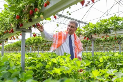 İzmir Büyükşehir’den çiftçiye 550 milyon TL'lik nefes