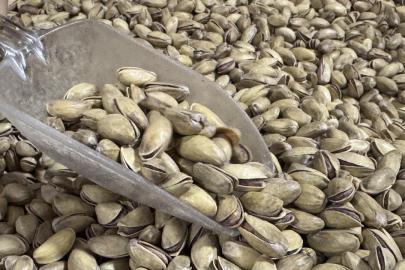 Lisanslı depolarda her 100 kilogram Antep fıstığı için ayrı ürün senedi düzenlenecek