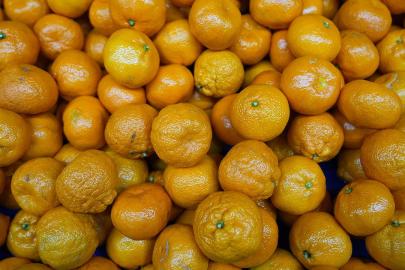 Mandalinada tarihi ihracat rekoru