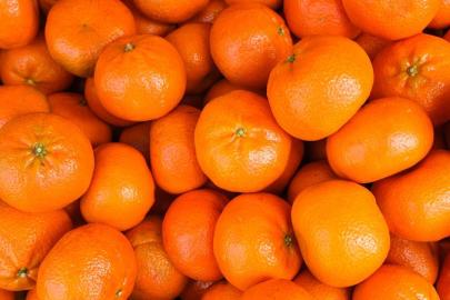 Mandalinada tüm zamanların ihracat rekoru kırıldı