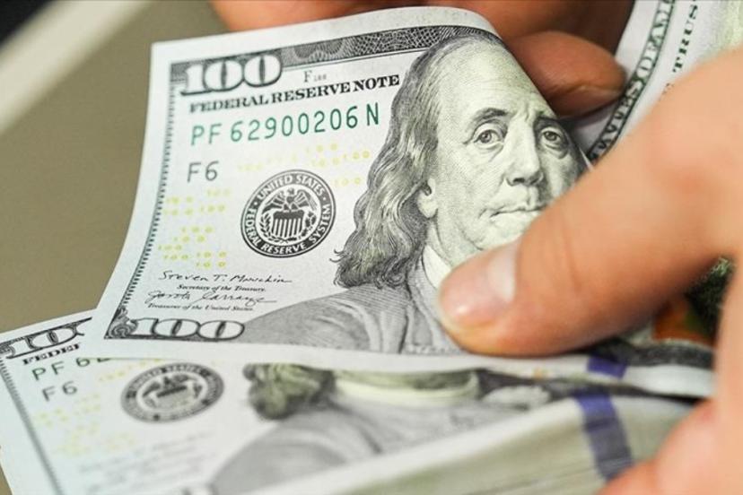 Merkez Bankası rezervleri arttı