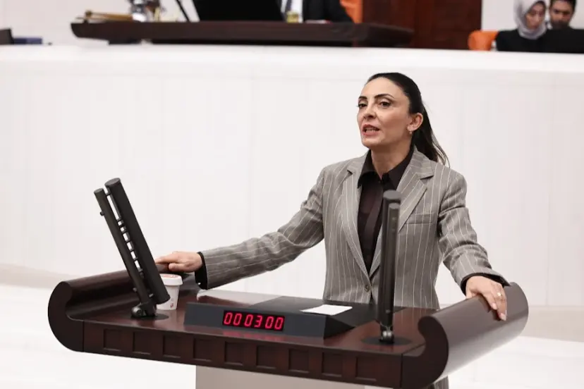 Nurhayat Altaca Kayışoğlu: “Özgür sanat olmadan demokrasi olmaz”