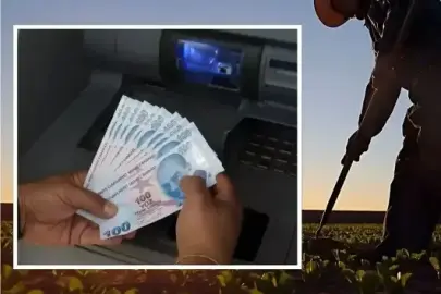 Ödemeler bugün çiftçilerin hesaplarına yatıyor: İşte ayrıntılar