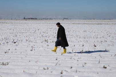 Şanlıurfa'da etkili olan kar yağışı çiftçiyi sevindirdi