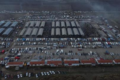 Şarkışla Canlı Hayvan Pazarı yeniden açıldı