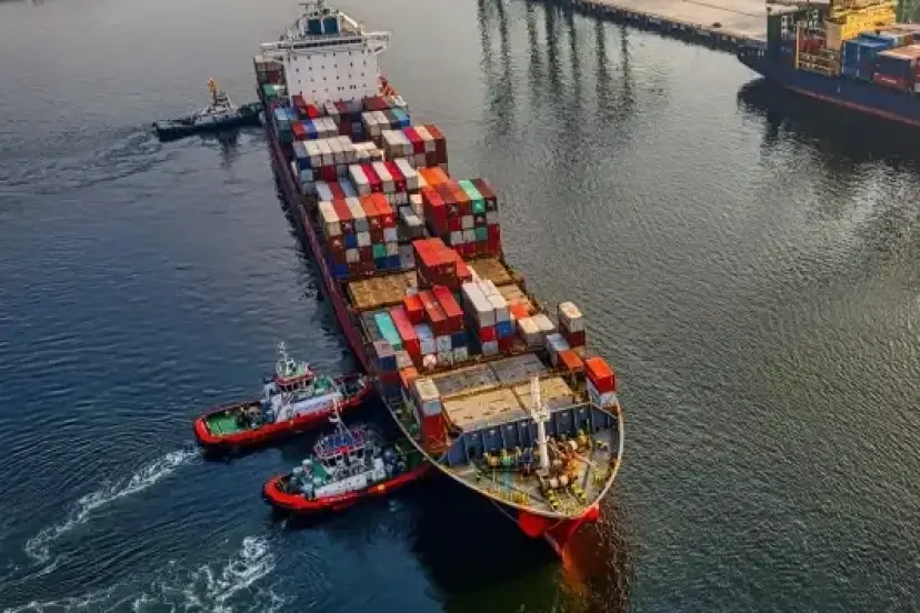 Serbest bölgelerden kasımda 915,7 milyon dolar ihracat