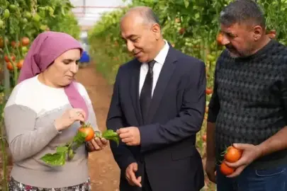 ŞOK Marketler’de yeni dönem: Meyve-sebzede pestisit kontrol süreci bir adım ileri taşındı 