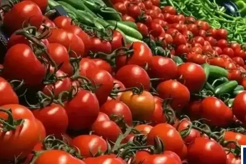 Tarım, gıda ve içecek ihracatı 10 ayda 22,2 milyar dolara ulaştı