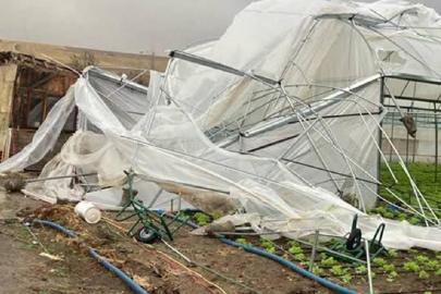 Tarım sigortaları kapsamında üreticilere 4,2 milyar lira hasar tazminatı ödendi