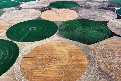 Tarım ürünlerinin depolama süreleri uzatıldı: 18 aydan 24 aya