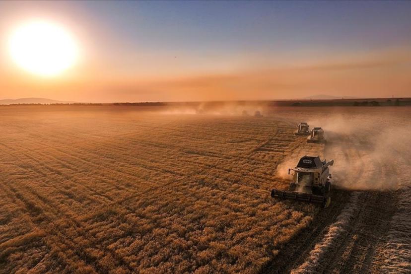 Tarımda IPARD-III Programı kasım dönemi ödemesi yapıldı