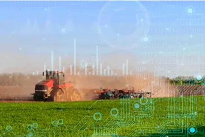 TÜİK 2025 bitkisel üretim verilerini açıkladı... Üretimde genel düşüş yaşandı