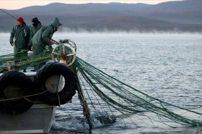 Türkiye, Akdeniz Genel Balıkçılık Komisyonu Başkanlığına seçildi