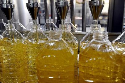 Türkiye ayçiçek yağında dünya lideri: İhracat 1 milyar dolara koşuyor