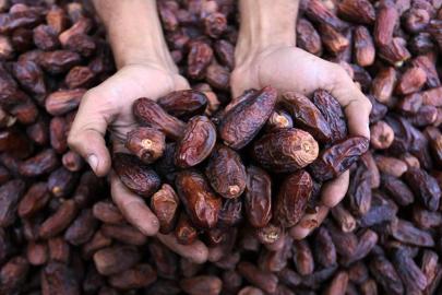 Türkiye'den Filistin'e hurmada kota desteği