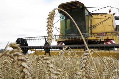 Üreticilere kasımda 376,8 milyon lira destekleme ödemesi yapıldı