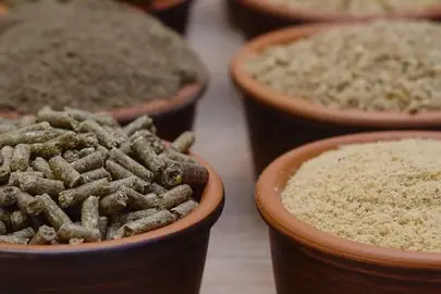 Yem Yönetmeliği'nde değişiklik 'Resmi'leşti... Gıdadan yeme büyük dönüşüm!