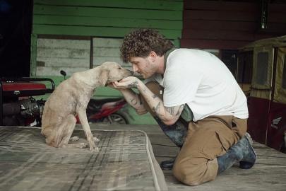 Yılbaşı gecesi eğlence mi, eziyet mi? Havai fişekler hayvanları alarma geçiriyor