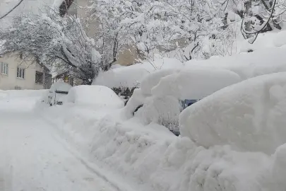 AFAD'dan Doğu ve Batı Karadeniz ile Doğu Anadolu'ya çığ uyarısı!