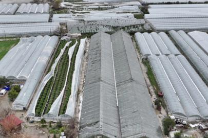 Antalya’da sel ve hortumdan etkilenen üreticiler için hasar tespiti sürüyor