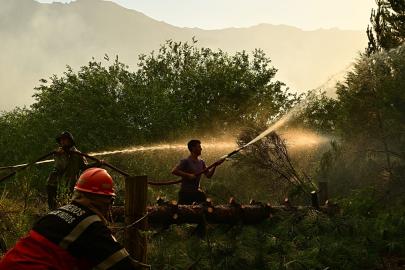 Arjantin Patagonyası'nda orman yangını: 5 bin 500 hektardan fazlası yandı