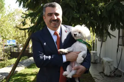 Bursa Yıldırım can dostlara 2025'te de sıcak yuva oldu