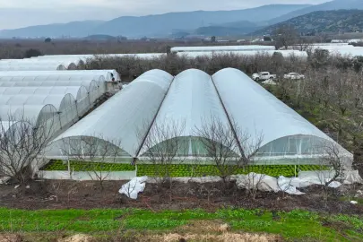 Bursa'da lodoszede seralara Büyükşehir desteği