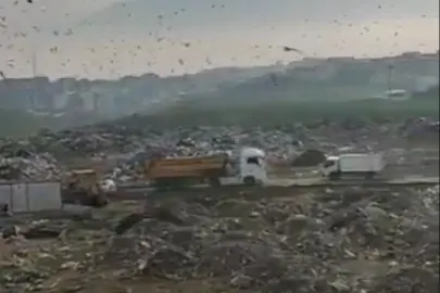 Bursa'daki katı atık alanına 1,8 milyon TL ceza!