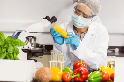 Gıda katkı maddelerine yeni düzenleme... İşletmelere 1 Mart'a kadar uyum süresi