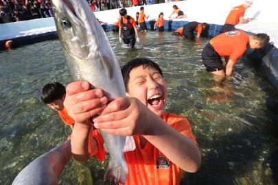 Güney Kore'deki Sancheoneo Festivali: Binlerce kişi buzda alabalık avı için akın etti