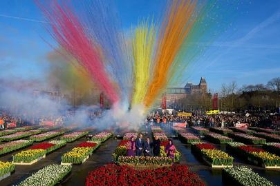 Hollanda Ulusal Lale Günü: Amsterdam'da 200 bin lale dağıtıldı