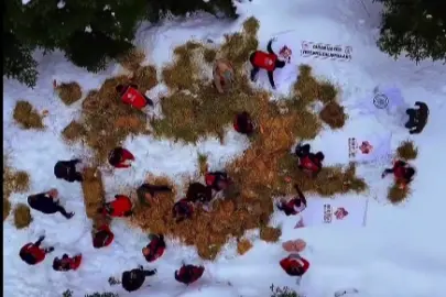 Ilgaz Dağı’na yüzlerce kilo yem bırakıldı