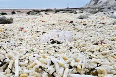 İngiltere'deki sahil tonlarca kilo patates ve soğanla doldu