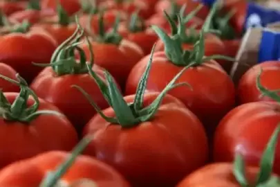 İstanbullular 2025'te en çok mandalina ve domates tüketti