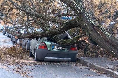 Kristin fırtınası: Portekiz'de iki kişi öldü, yaygın hasar ve elektrik kesintileri