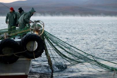 Küçük ölçekli balıkçı destekleri için başvurular başladı