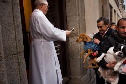 Madrid'de kedi ve köpekler kutsal suyla kutsandı