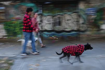 Meksika'nın orta ve güney kesimleri 6.5 büyüklüğündeki depremle sarsıldı