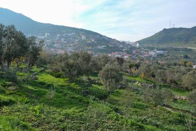 Menemen Belediyesi'nden tarıma can suyu