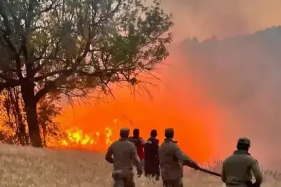Orman yangınlarına karşı mücadele filosu büyütülecek