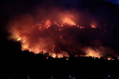 Patagonya'daki yangınlarda  12 bin hektarlık alan küle döndü