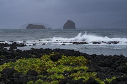 Portekiz'de kasırgan nedeniyle yüzbinlerce ev halen elektriksiz