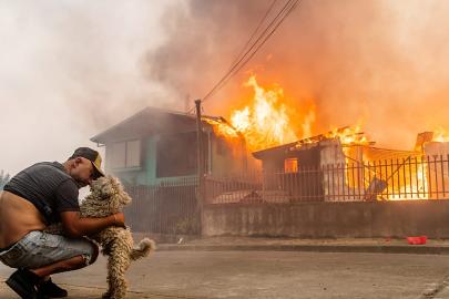 Şili'de orman yangınları: En az 19 ölü, 50 bin kişi tahliye edildi