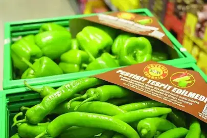 ŞOK pestit analizini genişletiyor