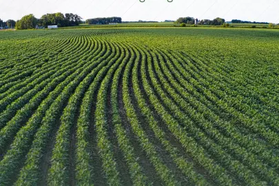 TAKE ile tarım arazileri daha verimli kullanılıyor