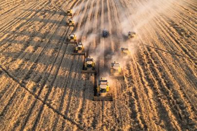 Tarım ÜFE Aralık 2025'te arttı