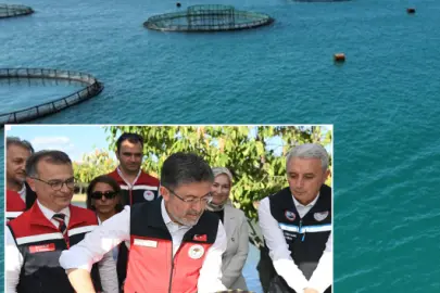 Türkiye'de 2025'te balık üretiminde cumhuriyet tarihinin rekoru kırıldı