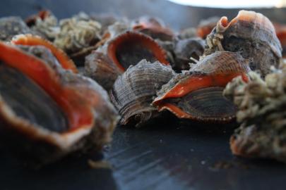 Türkiye'nin deniz salyangozu ihracatı 20,9 milyon doları aştı